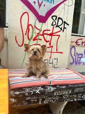 Sora - Café & Wohnaccessoires