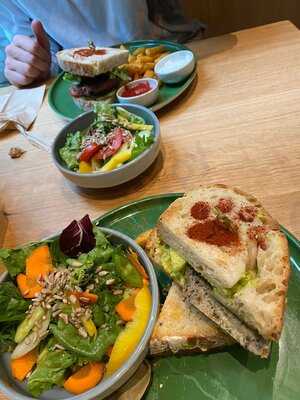 Katzentempel Leipzig