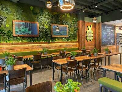 Little Green Rabbit - Ku'damm