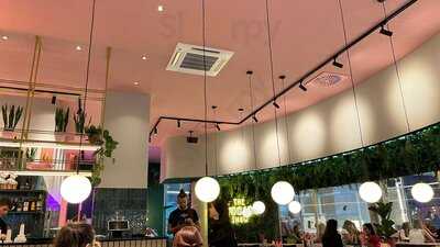 The Avocado Show - Stuttgart Calwer Straße