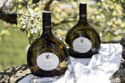 Bamberger Stiftsgarten