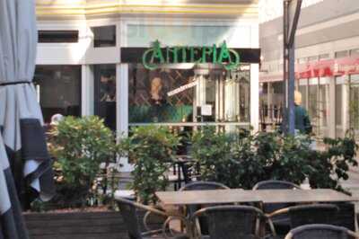 Antepia Künefe Katmer Baklava