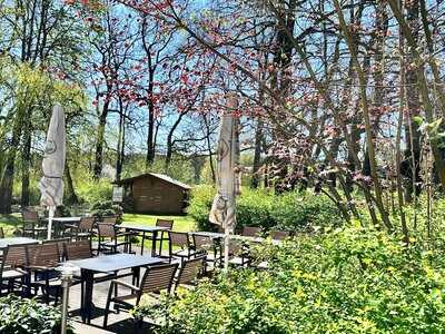 Restaurant Luther Birke Wittenberg