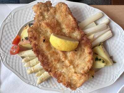 Restaurant Luther Birke Wittenberg