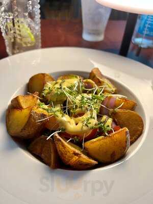 Taco Cat & Ceviche Bar