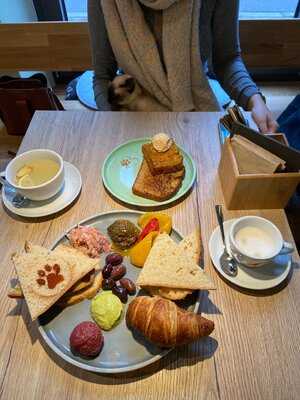 Katzentempel Augsburg