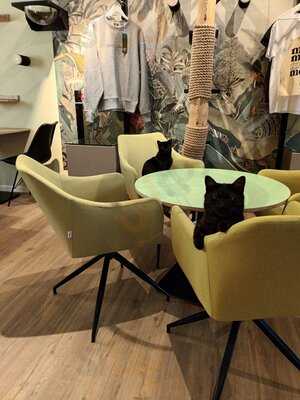 Katzentempel Augsburg