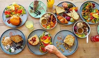 Katzentempel Hannover