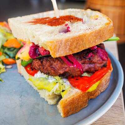 Katzentempel Hannover