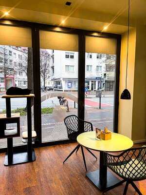 Katzentempel Hannover