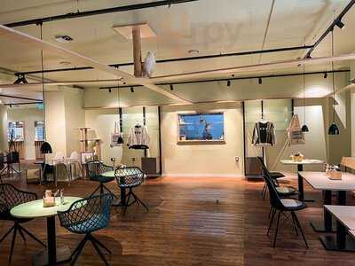 Katzentempel Hannover