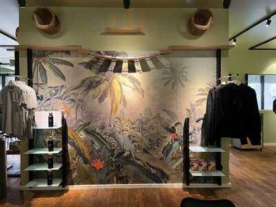 Katzentempel Hannover