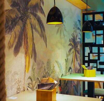 Katzentempel Erlangen