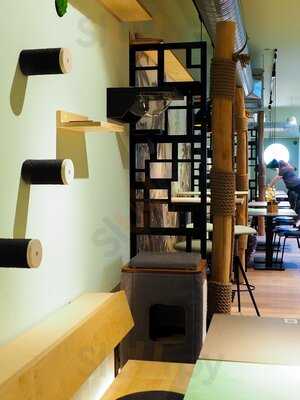 Katzentempel Erlangen