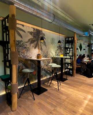 Katzentempel Erlangen