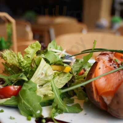 Wavecity Kitchen & Bar