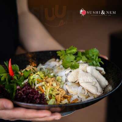 Sushi & Nem Singen