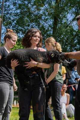 Hobenköök Gut Karlshöhe