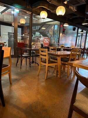 Zito’s Little Italy Ny