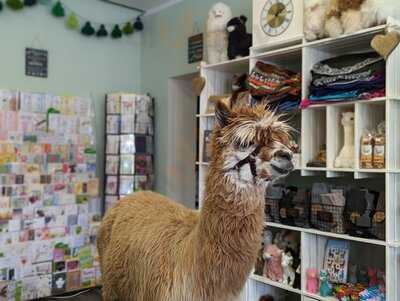 Alpakadorf-lädchen (mit Café Und Kinder-spielzimmer)