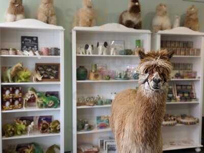 Alpakadorf-lädchen (mit Café Und Kinder-spielzimmer)