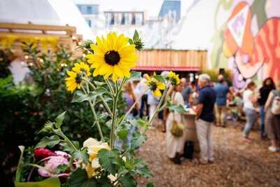 Weingarten Sechsundzwanzig