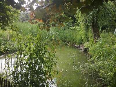 Hofcafé Falkenhagen