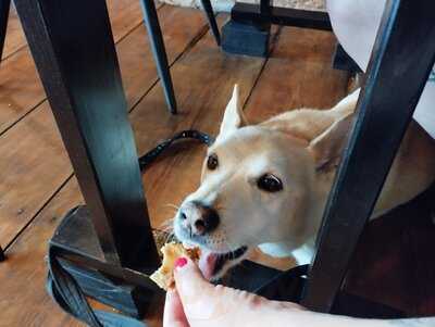 Hoffels - Homemade Waffles