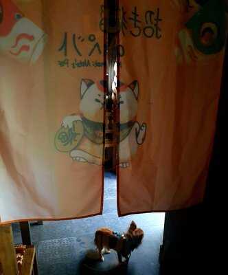 Kirschblüte Nt Cottbus