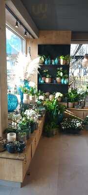Wild&wundervoll Blumengeschäft 
