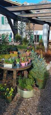 Wild&wundervoll Blumengeschäft 