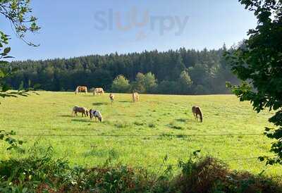 Café I Laden Oma Gerti