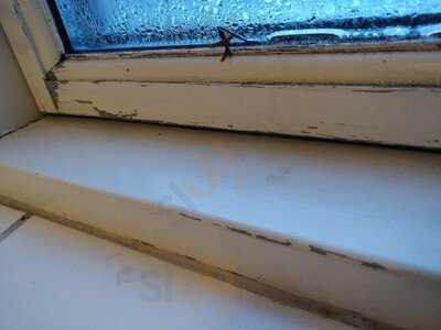 Restaurant Scheelsminde