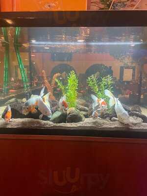 Oriental Barbeque House