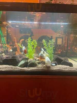 Oriental Barbeque House