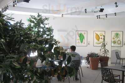 Cafeen I Vaeksthusene