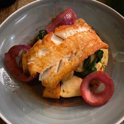 Bob Biomio Organic Bistro