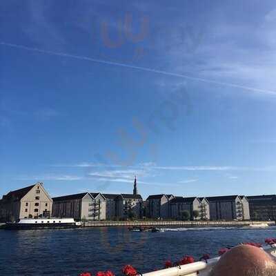 Fiskekutteren Hm800 Jammerbugt - Thorupstrand Fisk