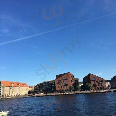 Fiskekutteren Hm800 Jammerbugt - Thorupstrand Fisk