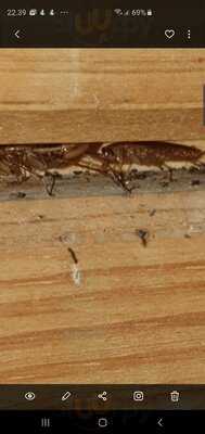 A Hereford Beefstouw Tivoli