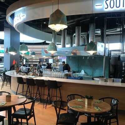 The South Indian Fields