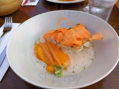 Kontikibar Og Færgen Ellen