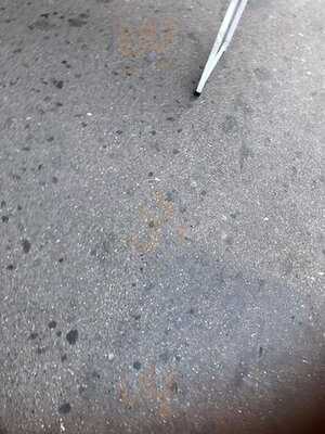 Cock's & Cows Kødbyen