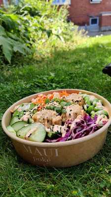 Maui Reykjaviksgade Aps