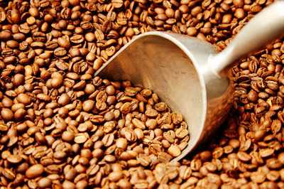 Cafe Restaurant Bar Hollywood