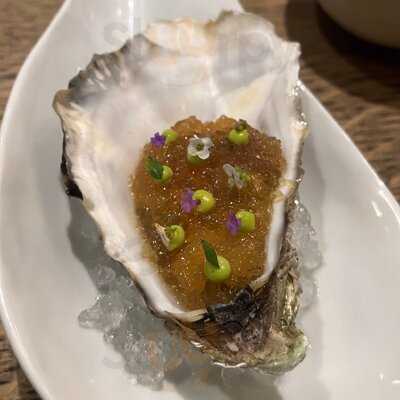 Connection By Alan Bates