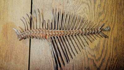 Connection By Alan Bates