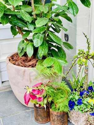 Gårdcafeen - Latinerkvarteret Aarhus