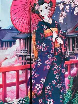 Ai Japansk Restaurant Aalborg