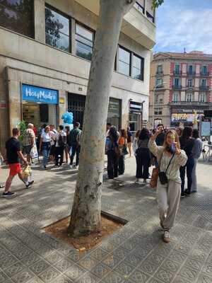 Holy Madre Gelateria